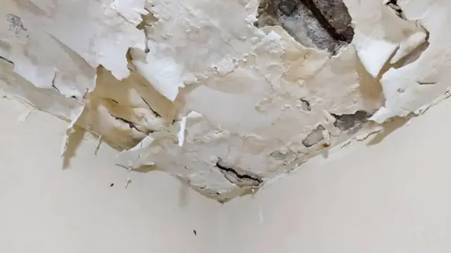 Ceiling with peeling paint and stained, bubbling drywall from a roof or pipe leak