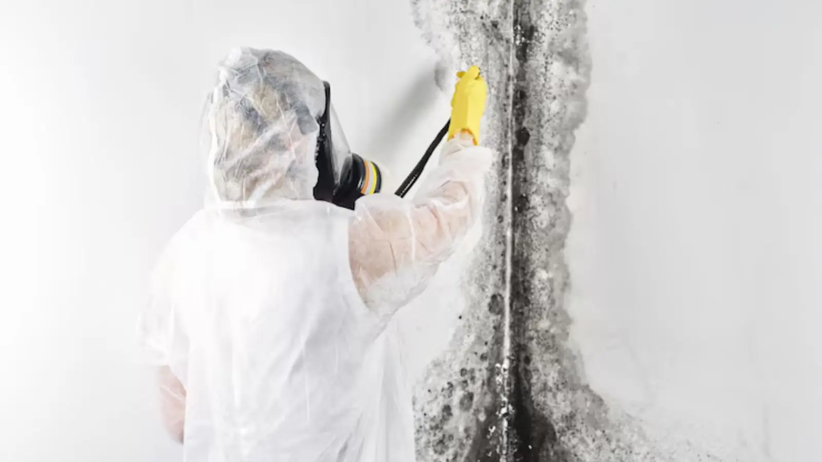 Worker in respirator and protective hood spraying a mold-affected wall corner near the ceiling